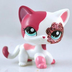 Meet your Posher, Daisy